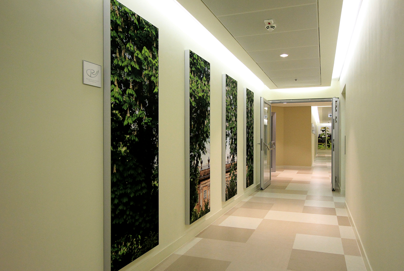 Image concept acoustic panels - Humboldt University